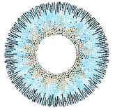 Lentilles de contact colorées CONTOUR BLUE